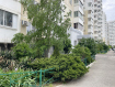 1-комнатная квартира, улица Видова, 214. Фото 16