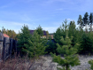 Участок городской округ Улан-Удэ Железнодорожный район. Фото 8