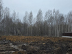 Участок Тобольский район микрорайон Восточный. Фото 3