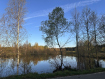 Участок Судогодский район . Фото 2