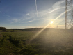 Участок Судогодский район . Фото 4