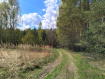 Участок Судогодский район . Фото 4