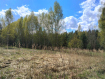 Участок Судогодский район . Фото 5