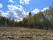 Участок Судогодский район . Фото 6