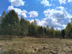 Участок Судогодский район . Фото 7