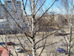 3-комнатная квартира, проспект Текстильщиков, 11А. Фото 16