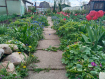 Дом Орехово-Зуевский городской округ . Фото 30