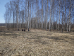 Дом Кондопожский район . Фото 14