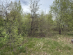 Участок городской округ Владимир Октябрьский район. Фото 8