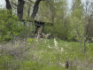 Участок городской округ Владимир Октябрьский район. Фото 14