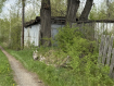 Участок городской округ Владимир Октябрьский район. Фото 15