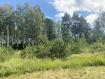 Участок Судогодский район . Фото 5