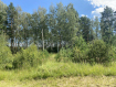 Участок Судогодский район . Фото 6
