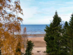 Участок Рыбинский район . Фото 3