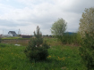 Участок Гурьевский городской округ . Фото 11