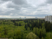 3-комнатная квартира, улица Комитетский Лес, 18к3. Фото 24