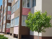 Свободная планировка, улица Таращанцев, 87. Фото 5