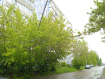 2-комнатная квартира, улица Генералова, 10. Фото 18