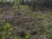 Участок городской округ Бор . Фото 2