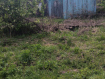 Участок городской округ Бор . Фото 4