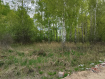 Участок Рязанский район . Фото 3