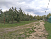 Участок Судогодский район . Фото 2