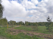 Участок Судогодский район . Фото 4