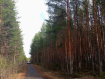 Участок Кондопожский район . Фото 4