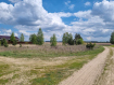 Участок Рязанский район . Фото 2