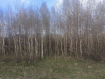 Участок городской округ Пермь Орджоникидзевский район. Фото 8