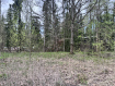 Участок городской округ Пушкинский микрорайон Пушкинский Лес. Фото 3