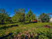 Дом Рыбновский район . Фото 9