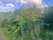 Участок городской округ Калининград Центральный район. Фото 1