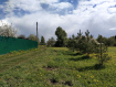 Участок Суздальский район . Фото 6