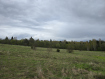 Дом Рыбинский район . Фото 30