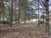 Коммерческая недвижимость  Суздальский район , 180Б. Фото 1