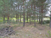Коммерческая недвижимость  Суздальский район , 180Б. Фото 2