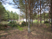 Коммерческая недвижимость  Суздальский район , 180Б. Фото 3
