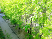2-комнатная квартира, улица Курчатова, 2. Фото 16