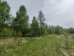 Участок Собинский район . Фото 4