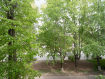 3-комнатная квартира, улица Егорова, 9. Фото 15