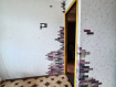 1-комнатная квартира, улица Ульяновых, 2Ж. Фото 3