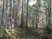 Участок Кондопожский район . Фото 2