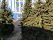 2-комнатная квартира, Новая улица, 1. Фото 6