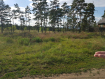 Коммерческая недвижимость  Тарбагатайский район , 426. Фото 2