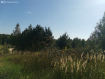 Дом Ивановский район . Фото 15