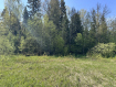 Участок городской округ Пушкинский микрорайон Пушкинский Лес. Фото 1