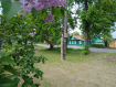 Дом Гороховецкий район . Фото 16