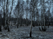 Участок городской округ Тула Пролетарский территориальный округ. Фото 24