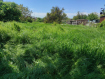 Участок Ейский район . Фото 2